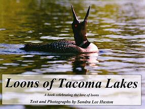 Loons of Tacoma